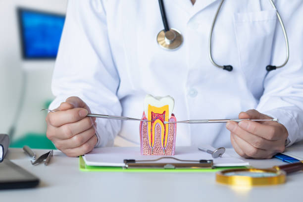 Best Walk-In Emergency Dentist in Morgans Point Resort, TX